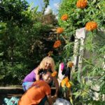 Yoga Cours & Stages Gardanne 13 Aix-en-Provence Soins Holistiques Chamanisme & Tambours Gardanne 13120 Aix-en-Provence Bouches-du-Rhône 13 Provence-Alpes-Côte d'Azur Aix 13001