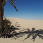 stages yoga tunisie (1)