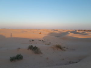 Yoga et balades en immersion au cœur des Villages Berbères - Maroc – Mai 2021