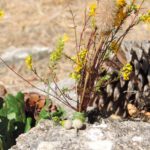 Yoga Cours & Stages Gardanne 13 Aix-en-Provence Soins Holistiques Chamanisme & Tambours Gardanne 13120 Aix-en-Provence Bouches-du-Rhône 13 Provence-Alpes-Côte d'Azur Aix 13001