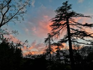 Stage : L’Assise au dedans de soi pour mieux Être au monde extérieur – Octobre 2023