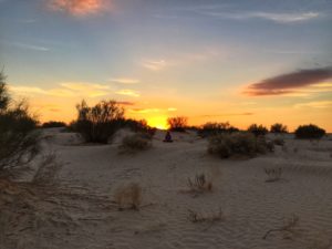 Stage Marche Consciente & Découverte de la Vie des Nomades dans le Désert Tunisien – Mars 2024