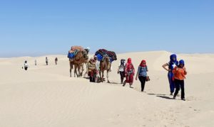 Partager la Vie des Nomades du Désert Tunisien – Novembre 2024