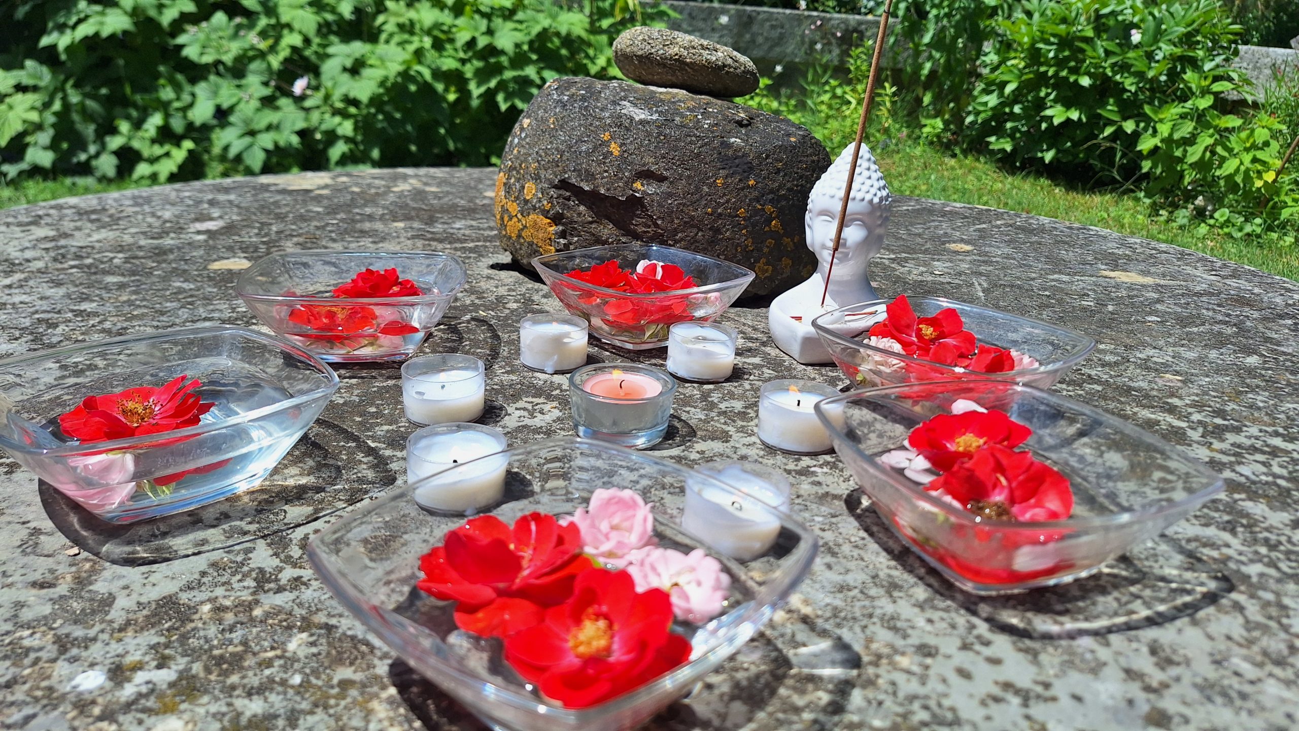 Stages 2025 / 2026 : Inscriptions Ouvertes !