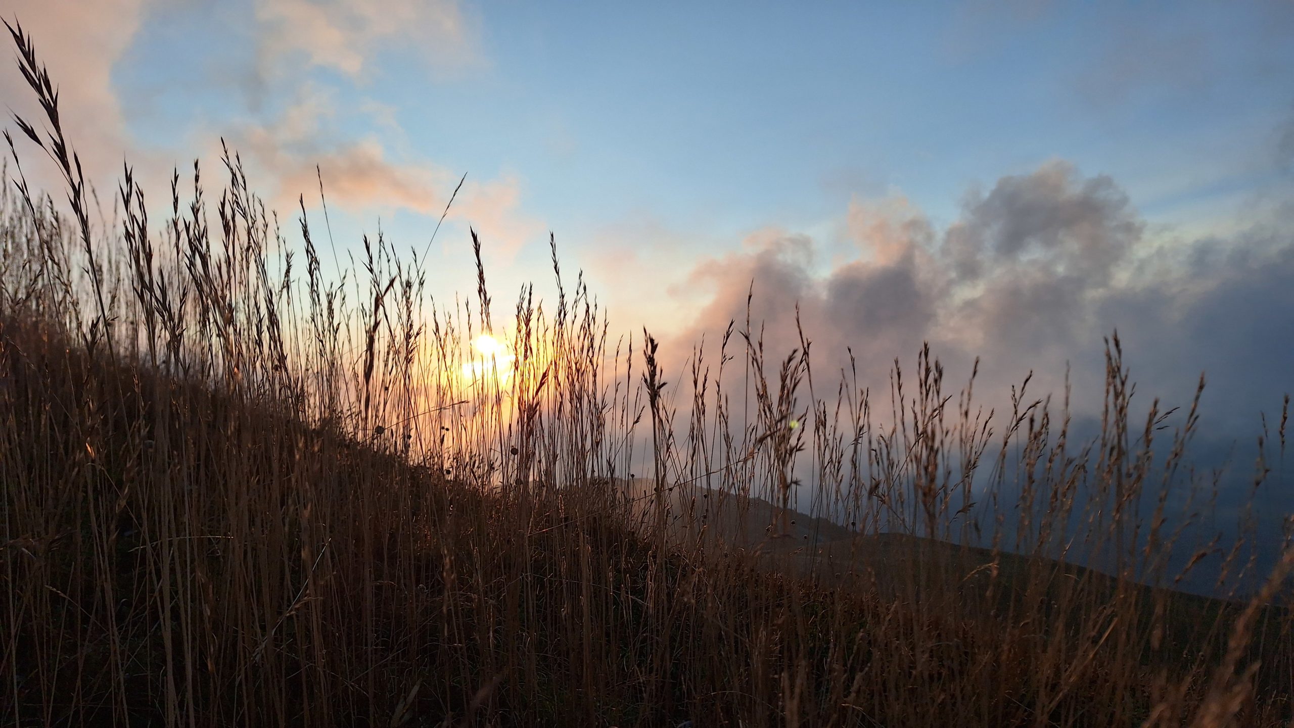 Stage Yoga, Méditation & Randonnées Printanières- Avril 2025 - Drôme