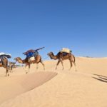 Vivre le Désert Tunisien au Rythme des Nomades – Février 2026