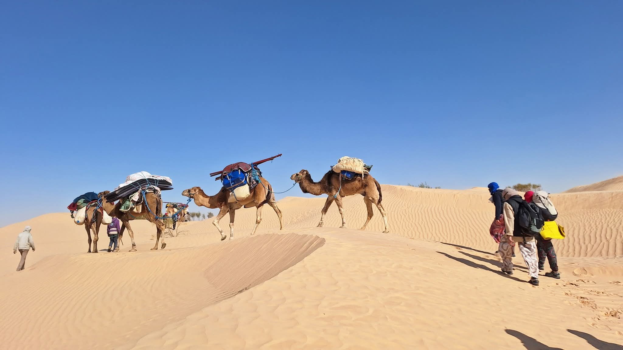 Vivre le Désert Tunisien au Rythme des Nomades – Février 2026